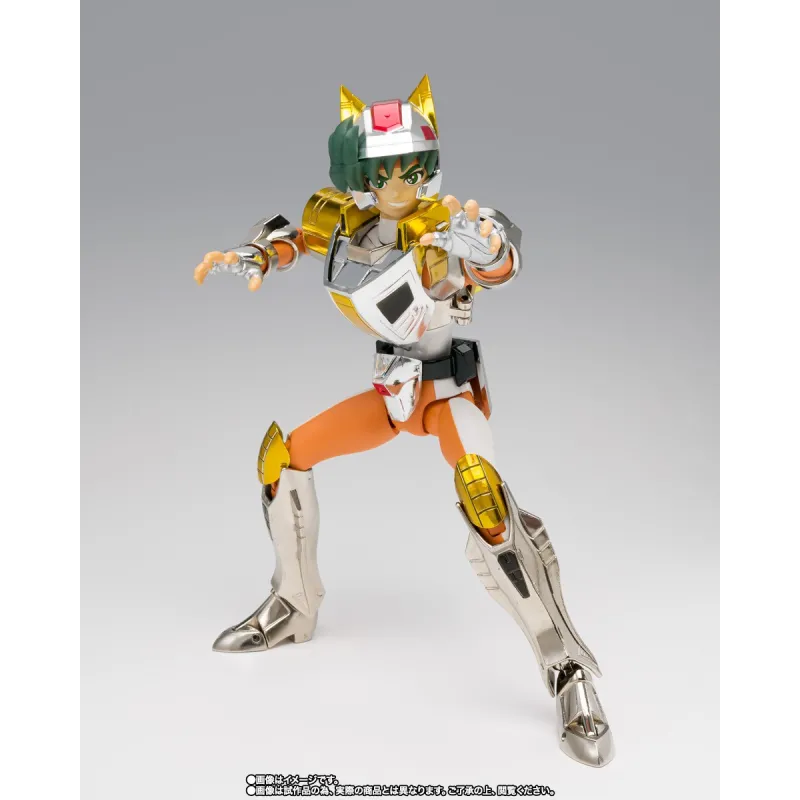 STEEL SAINT LANDCLOTH DAICHI REVIVAL