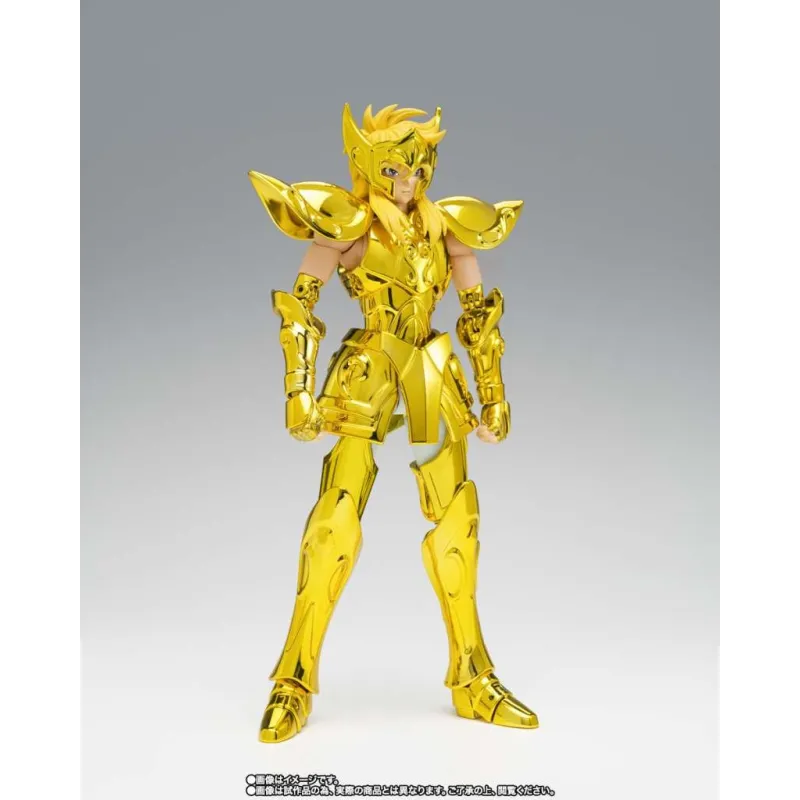 Saint cloth myth ex aquarius hyoga inheritor of the gold cloth