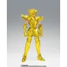 Saint cloth myth ex aquarius hyoga inheritor of the gold cloth